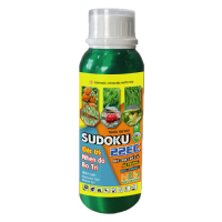 SUDOKU 22EC