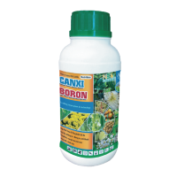 CANXI BORON