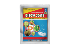 GIBOW 200TB - KÍCH THÍCH SINH TRƯỞNG