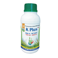 K PLUS +