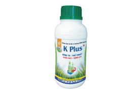 K PLUS +