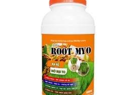 MYO AMINO