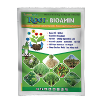 ROOT - BIOAMIN