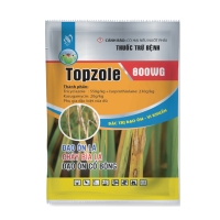 TOPZOLE 800WG - QUÉT SẠCH ĐẠO ÔN - DIỆT LUÔN VI KHUẨN