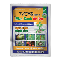 TVZEB 800WP - MAN XANH ẤN ĐỘ