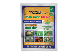 TVZEB 800WP - MAN XANH ẤN ĐỘ