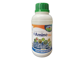 AMINO PLUS