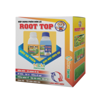 ROOT TOP