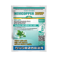 NEVI COPPER 20WP