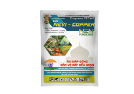 CHAPAON 770WP - NEVI COPPER