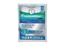 THUỐC TRỪ BỆNH HOANGANHBUL 72WP